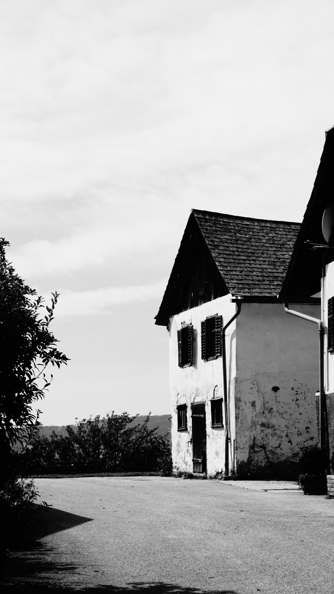 A walk in the&nbsp;wild