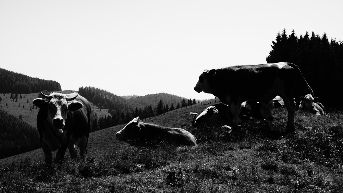 Let’s go on a&nbsp;hike